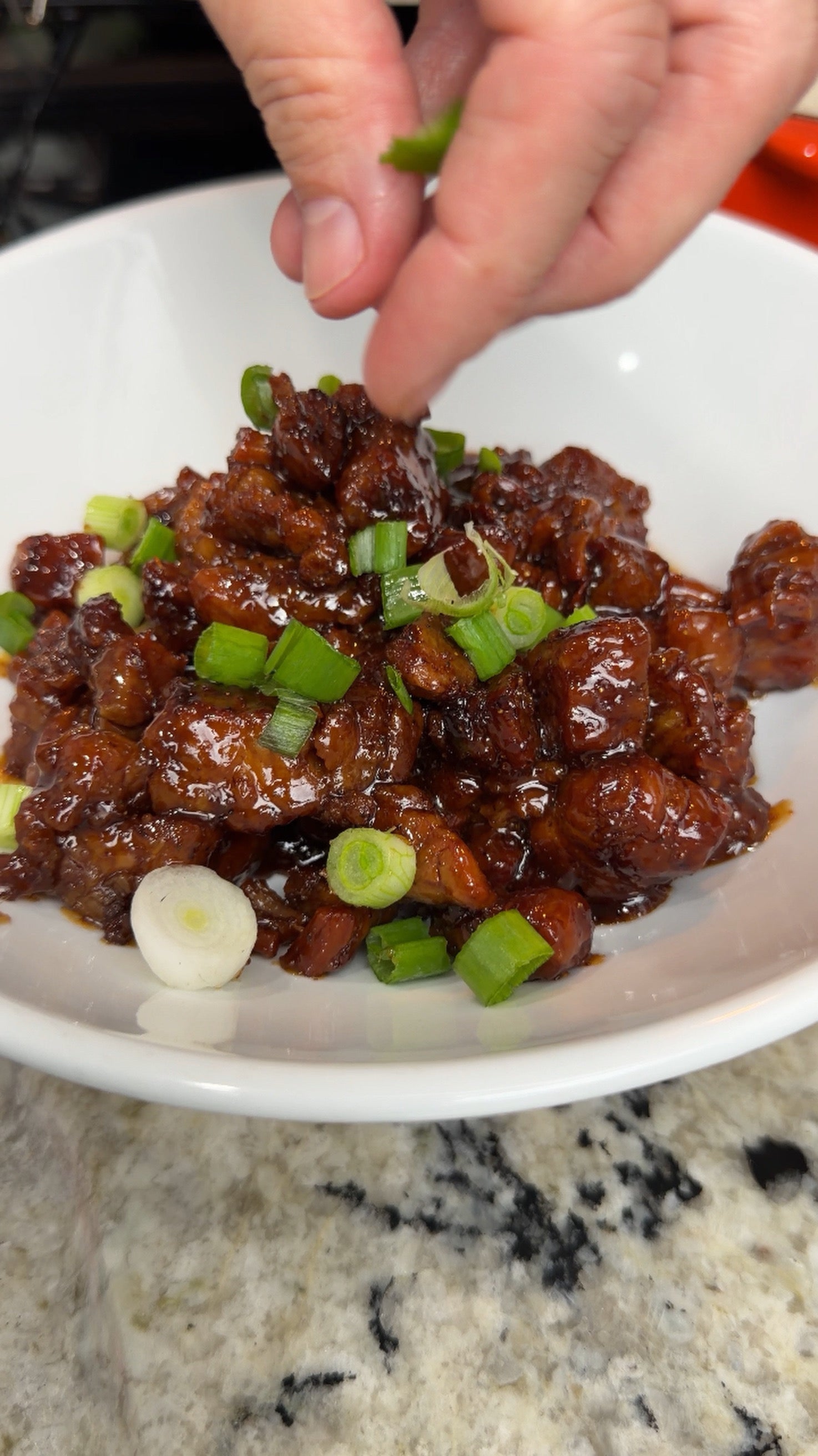 pork belly with green onions on plate
