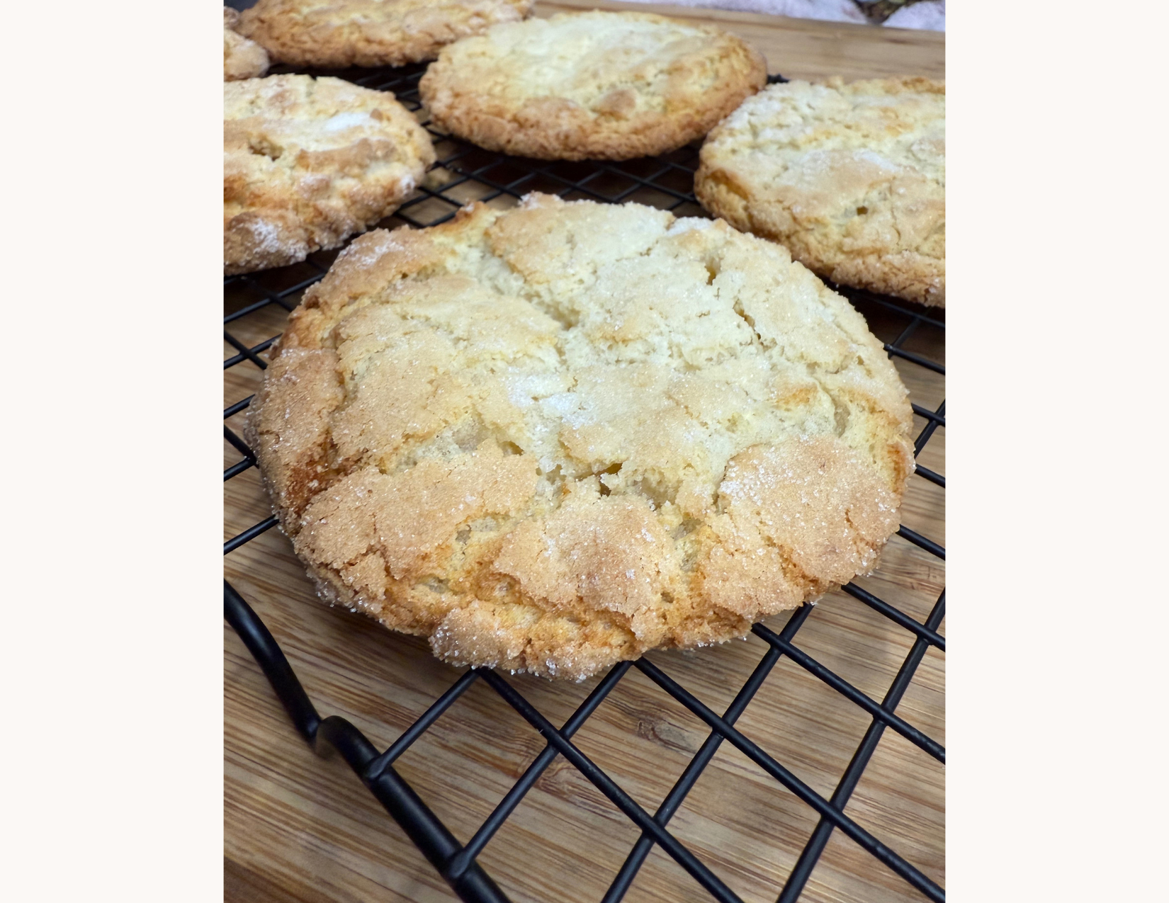old fashioned sugar cookie on a plate 